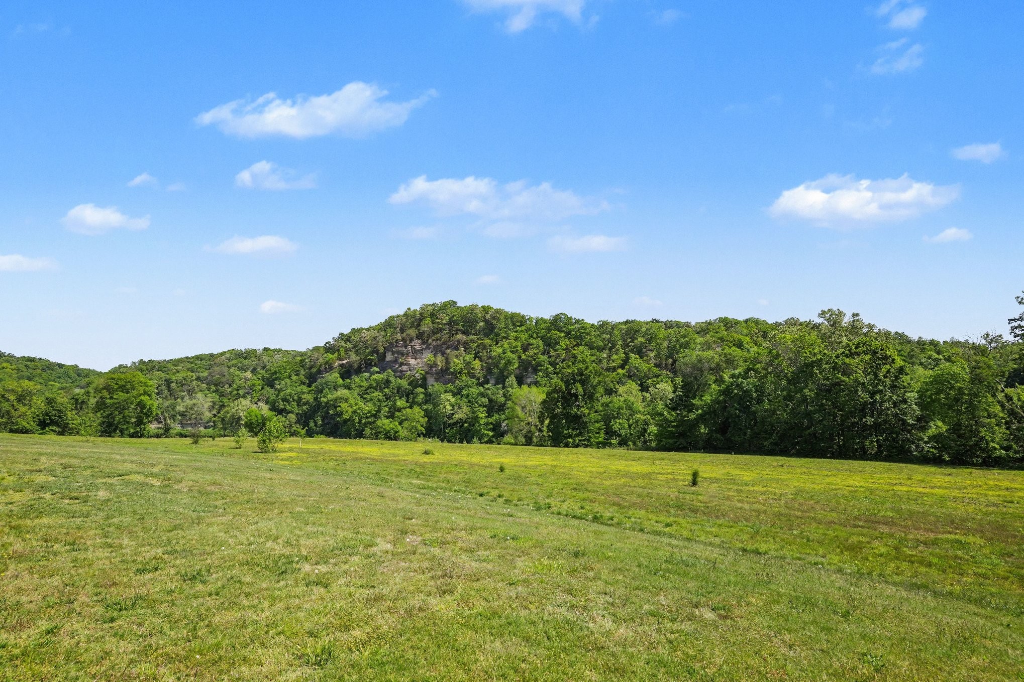 7699 County Line Road North White Bluff, TN 37187 - Photo 20 of 91