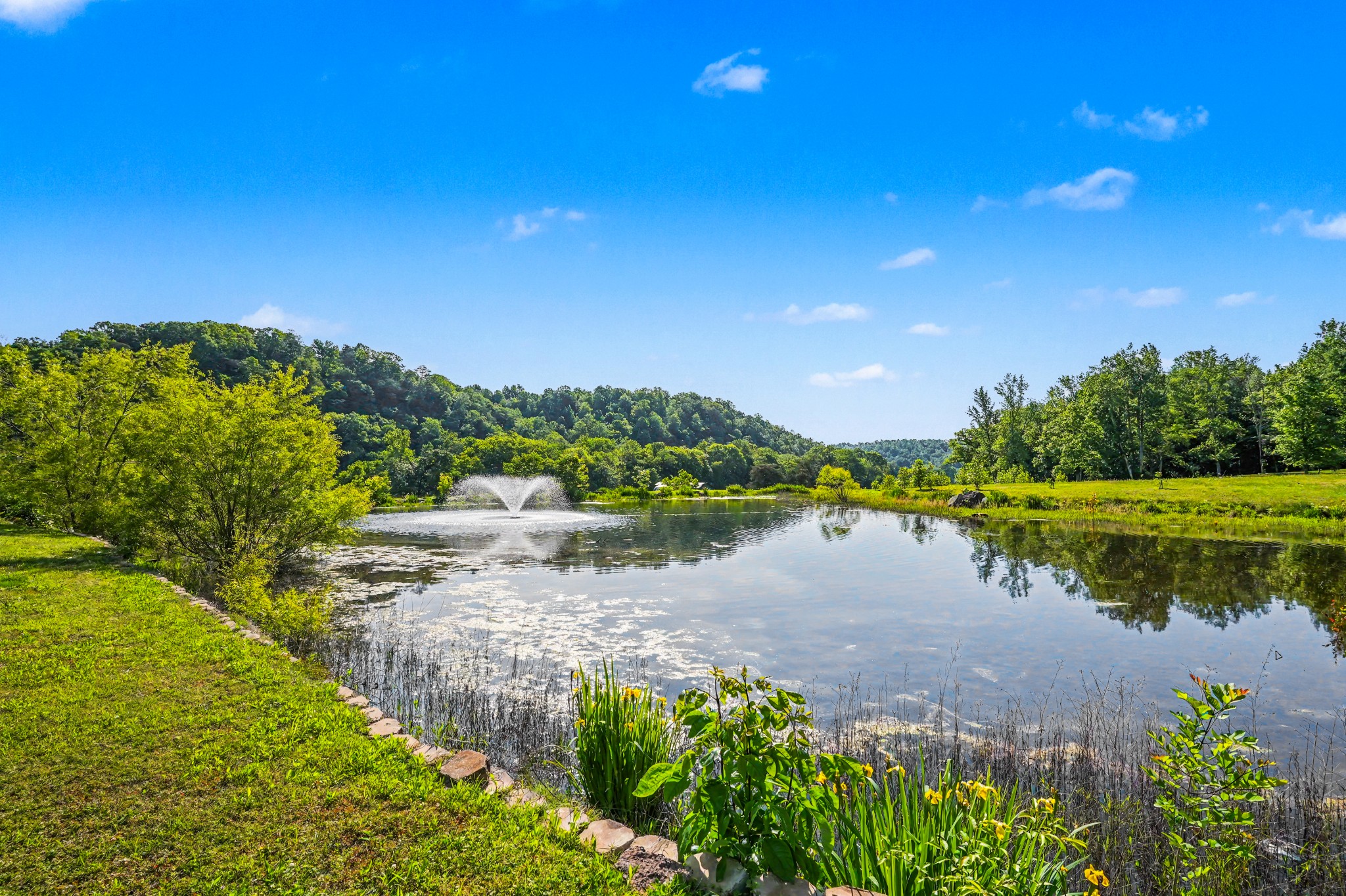 7699 County Line Road North White Bluff, TN 37187 - Photo 6 of 91