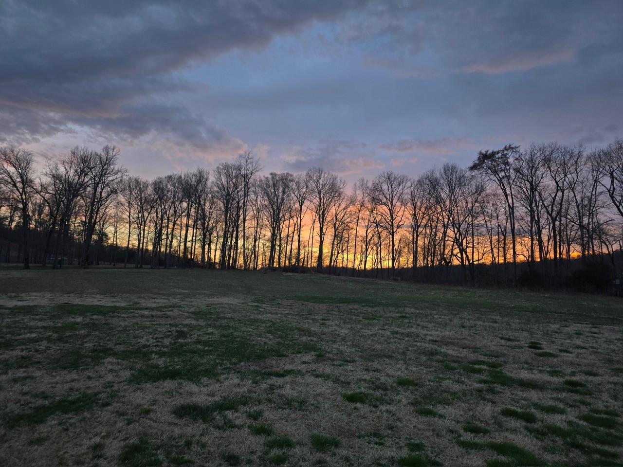 7699 County Line Road North White Bluff, TN 37187 - Photo 64 of 81