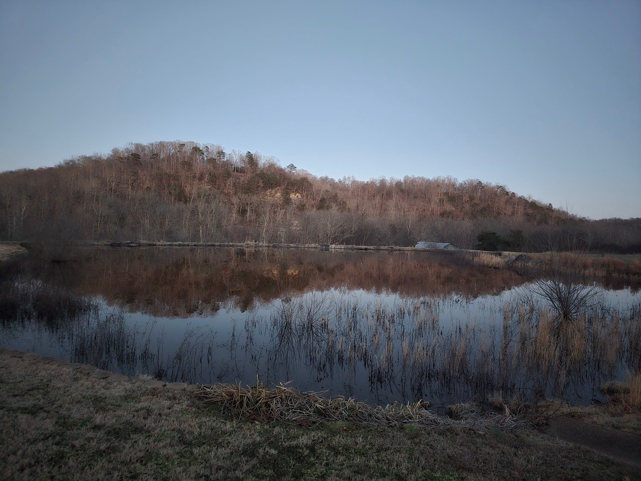 7699 County Line Road North White Bluff, TN 37187 - Photo 66 of 81