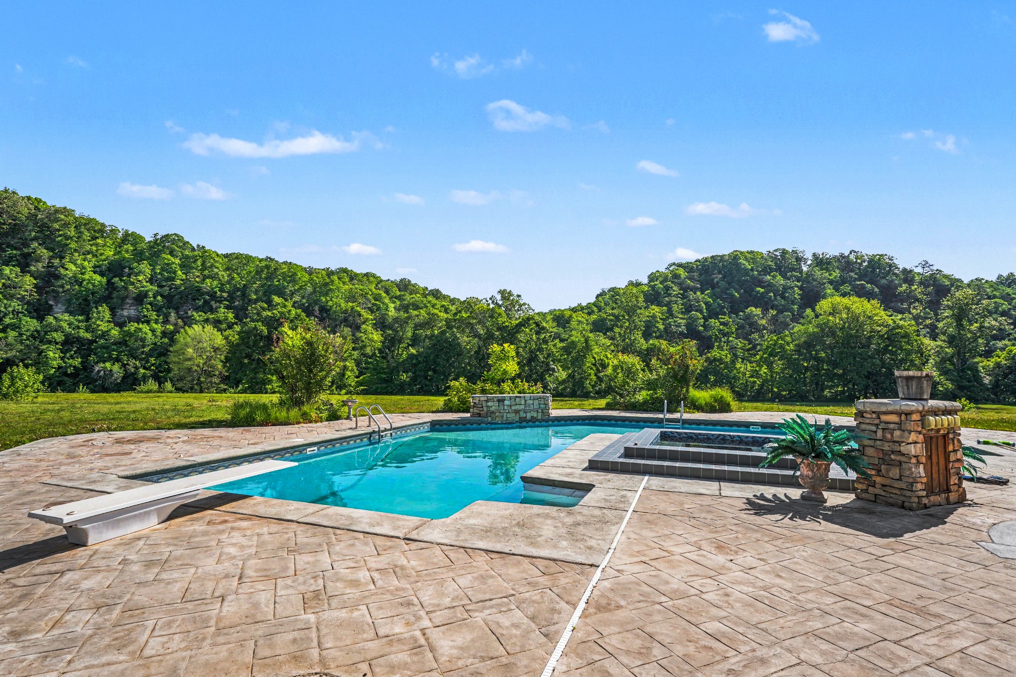 7699 County Line Road North White Bluff, TN 37187 - Photo 73 of 91 a view of yard with swimming pool and green space