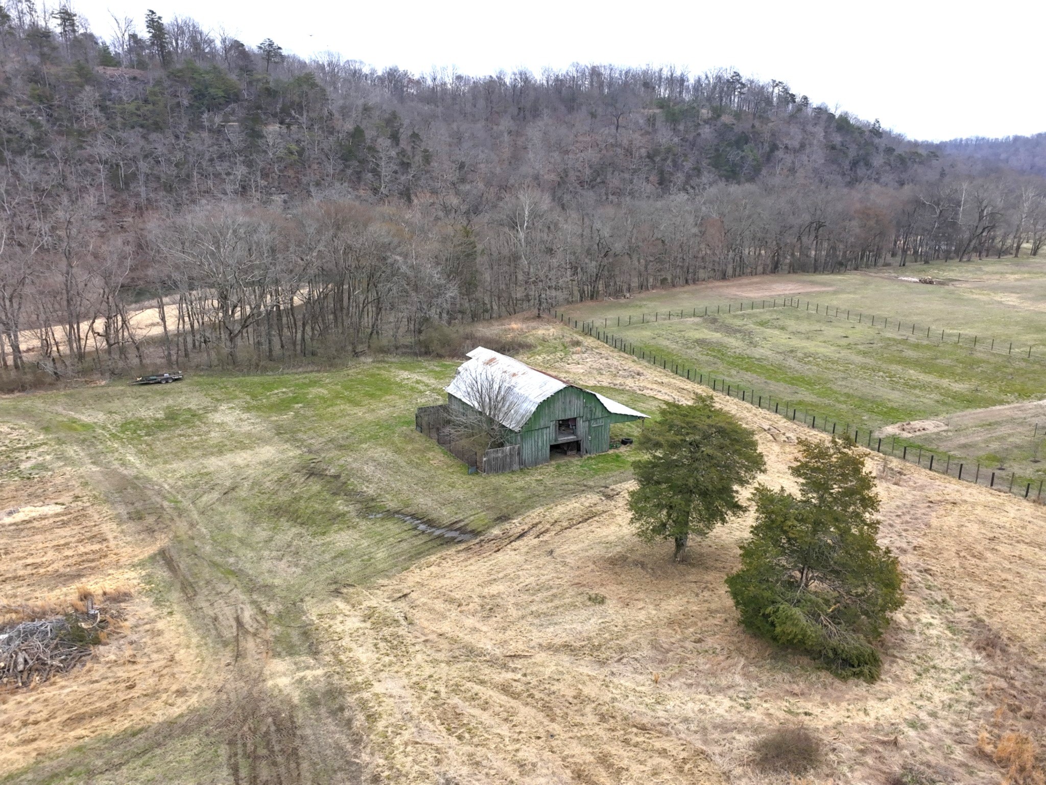 7699 County Line Road North White Bluff, TN 37187 - Photo 87 of 91 a view of a yard with a tree