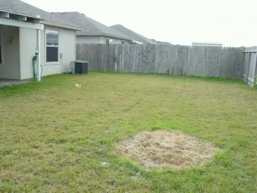 a view of a backyard with a garden and a table