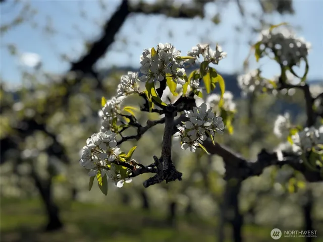 $945,000 | 8612 Ludwig Hill Road, Peshastin, WA 98847