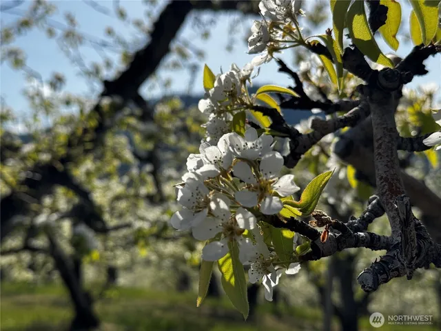 $945,000 | 8612 Ludwig Hill Road, Peshastin, WA 98847