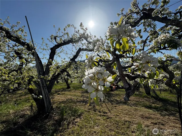 $945,000 | 8612 Ludwig Hill Road, Peshastin, WA 98847