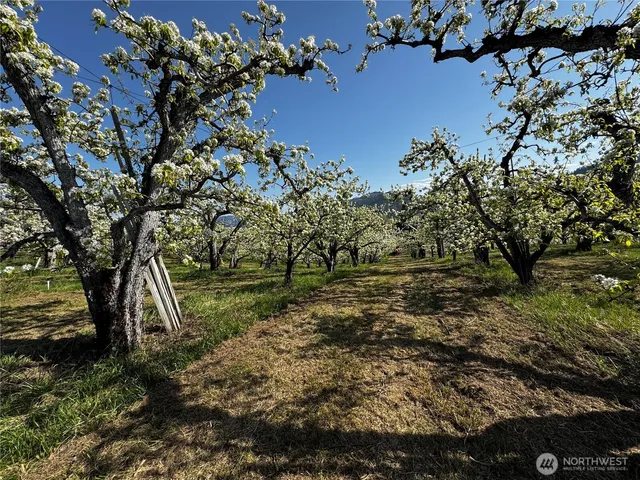 $945,000 | 8612 Ludwig Hill Road, Peshastin, WA 98847