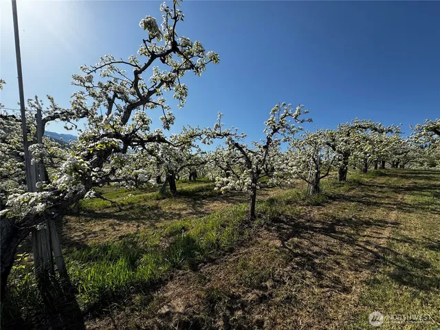 $945,000 | 8612 Ludwig Hill Road, Peshastin, WA 98847