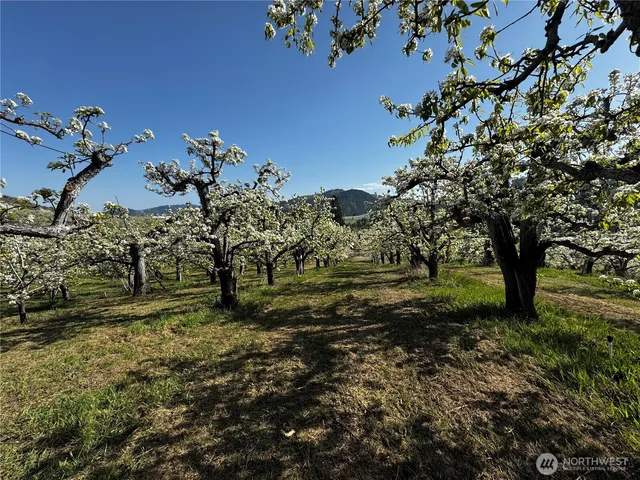 $945,000 | 8612 Ludwig Hill Road, Peshastin, WA 98847