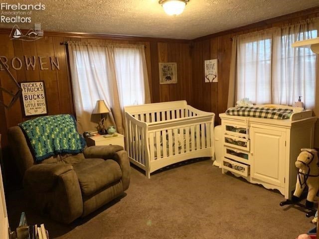 4601 West Collins Road Collins, OH 44826 - Photo 20 of 35 Gallery Image 20