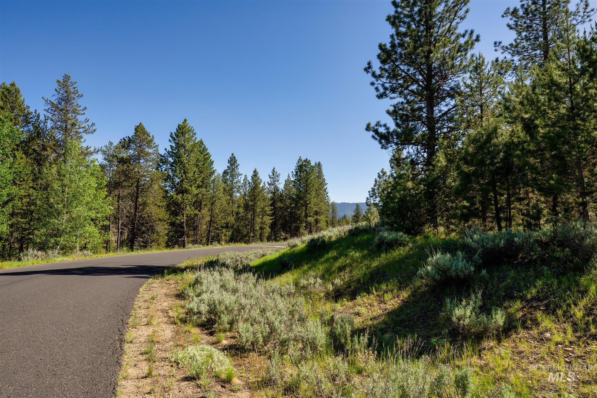 110 Fawnlilly Drive McCall, ID 83638 - Photo 12 of 27 View of asphalt road with a view of trees