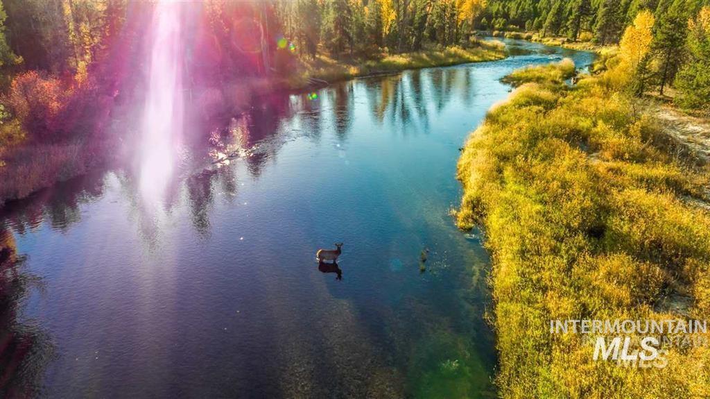 110 Fawnlilly Drive McCall, ID 83638 - Photo 27 of 27 Bird's eye view of a nearby body of water and a forest