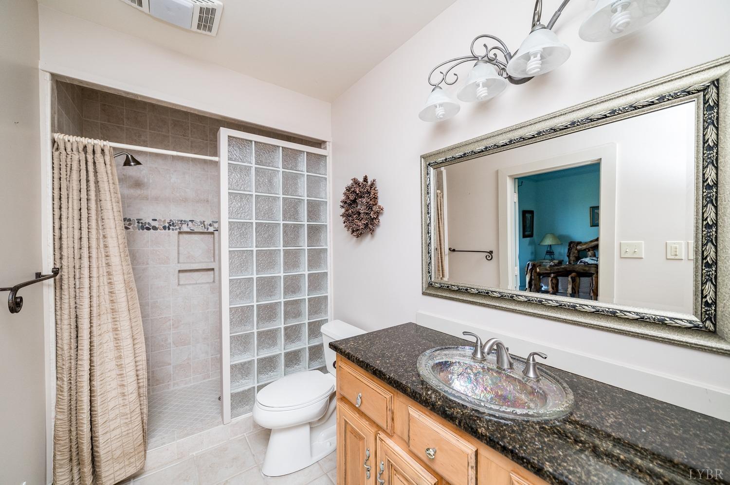 11261 Forest Road Forest, VA 24551 - Photo 63 of 99 a bathroom with a granite countertop sink a toilet a mirror and shower