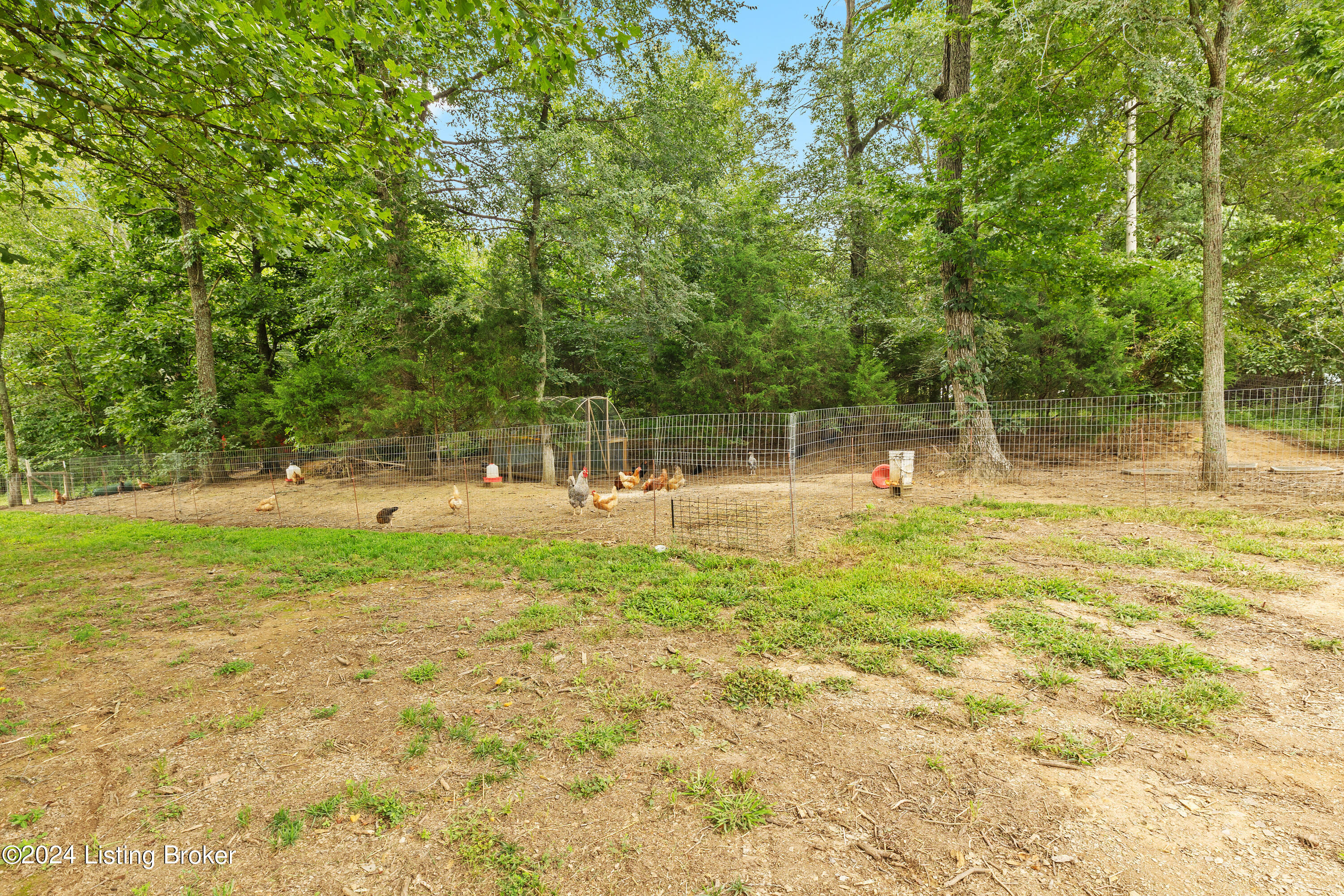 6088 Nat Rogers Road Boston, KY 40107 - Photo 34 of 52 6088 Nat Rogers Rd-35