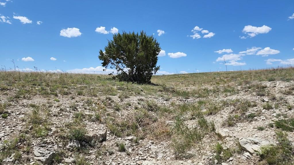 110 County Road 110 Rye, CO 81069 - Photo 15 of 37