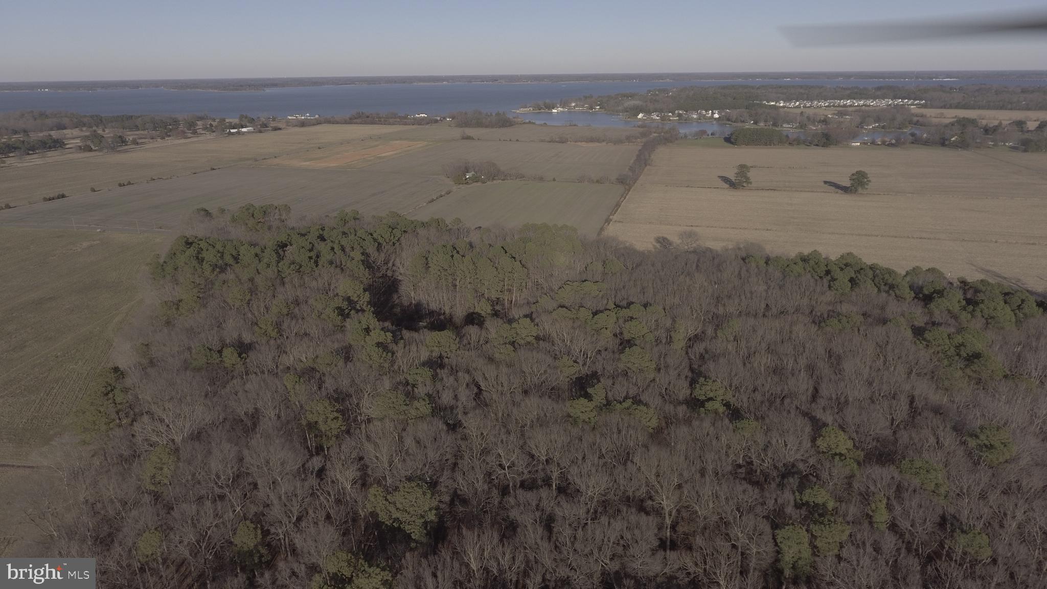 Horns Point Road Cambridge, MD 21613 - Photo 3 of 3