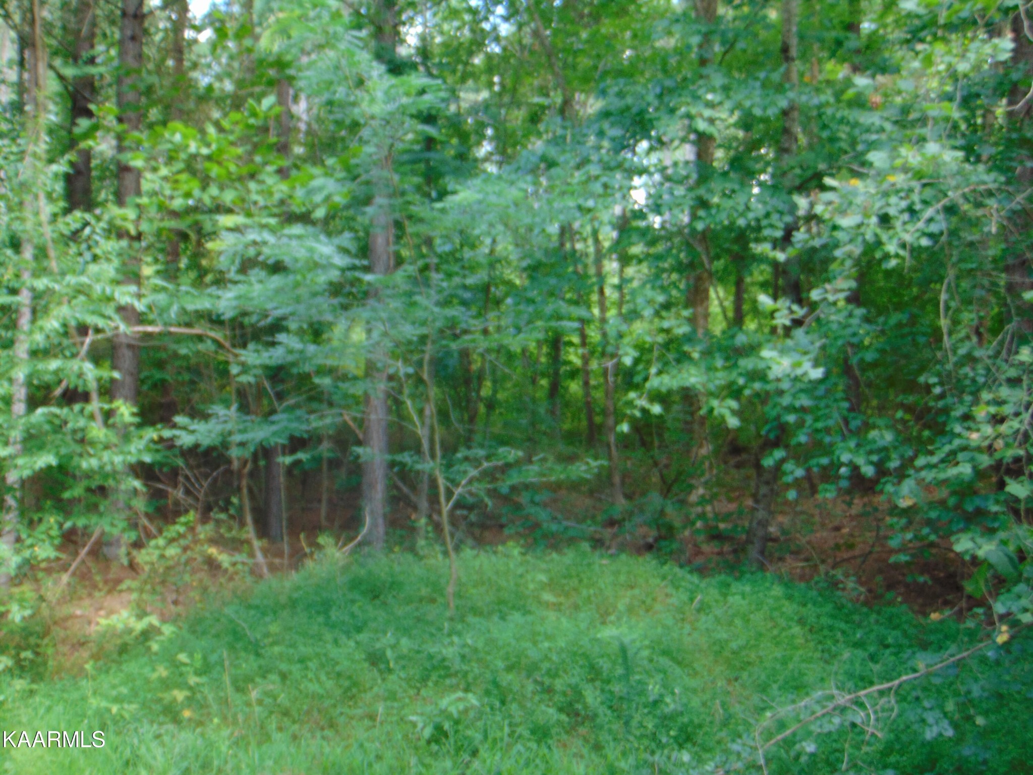 2 Chathem Road Decatur, TN 37322 - Photo 2 of 12