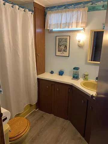 a bathroom with a sink a toilet and shower curtain
