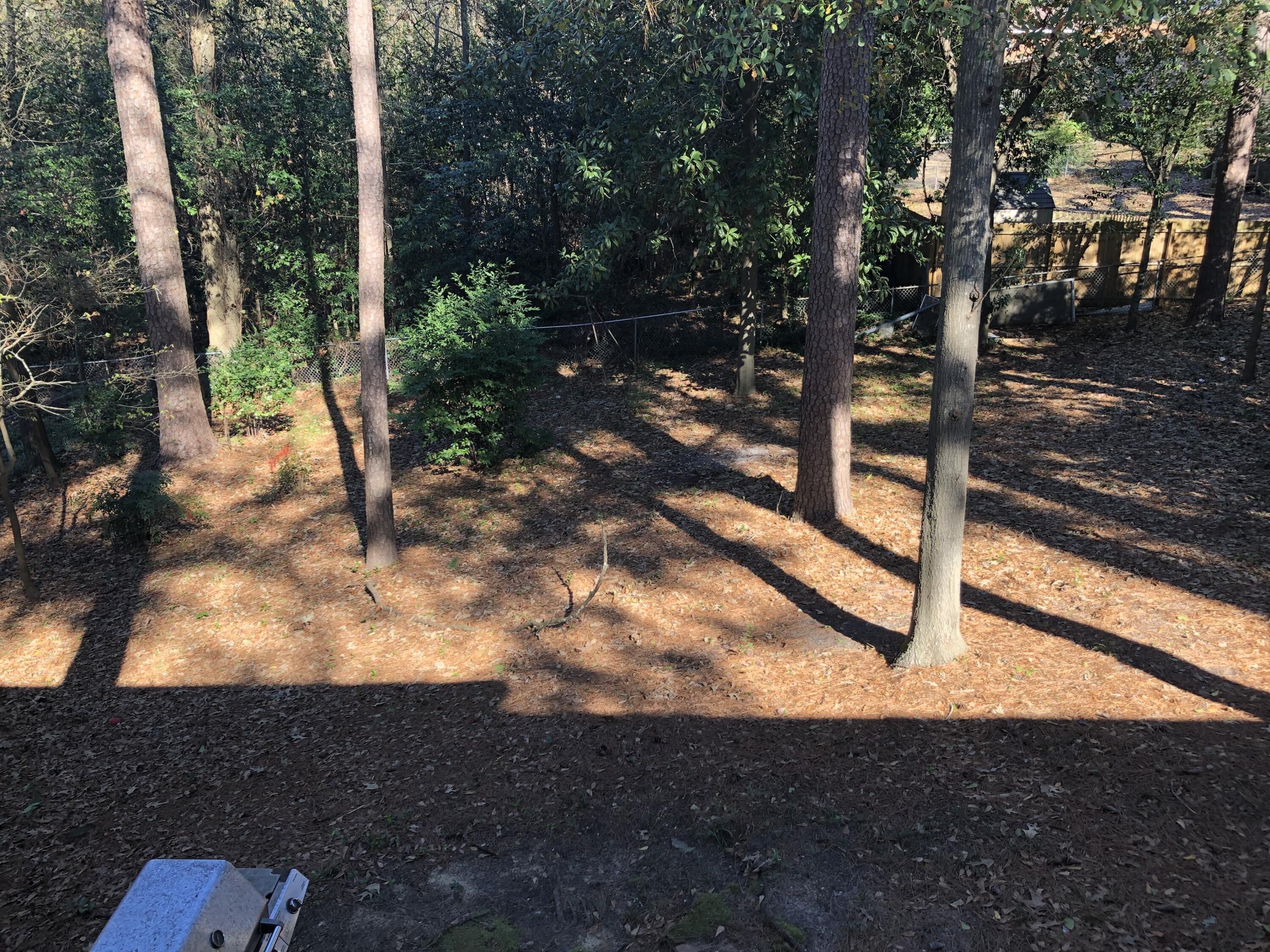 3536 Richmond Hill Road Augusta, GA 30906 - Photo 11 of 28 IMG_9059