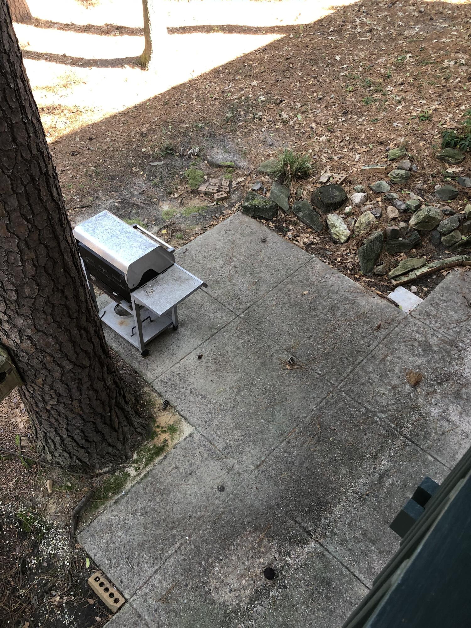 3536 Richmond Hill Road Augusta, GA 30906 - Photo 9 of 28 IMG_9057