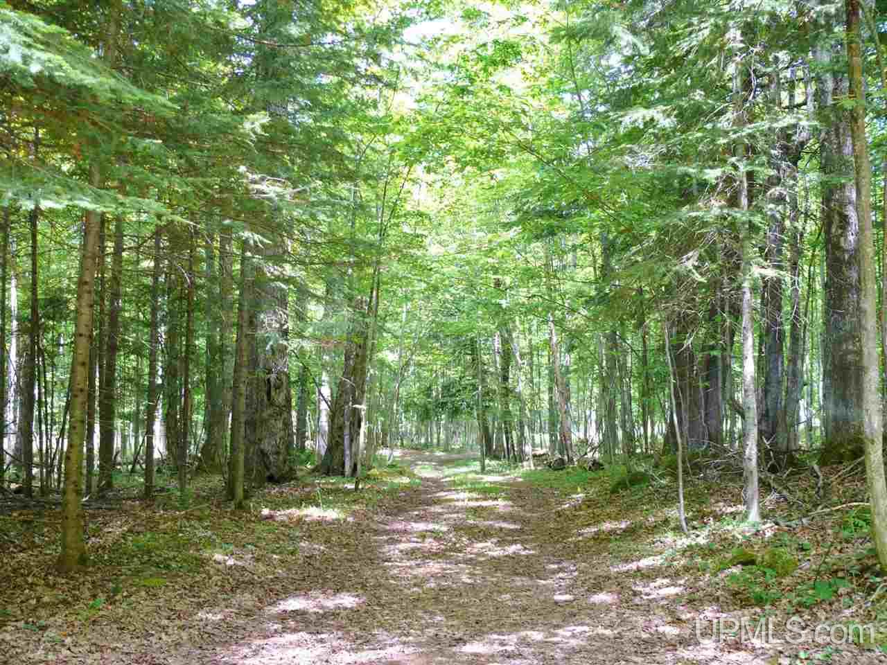 Tbd Tbd Co Road Big Bay, MI 49808 - Photo 17 of 17