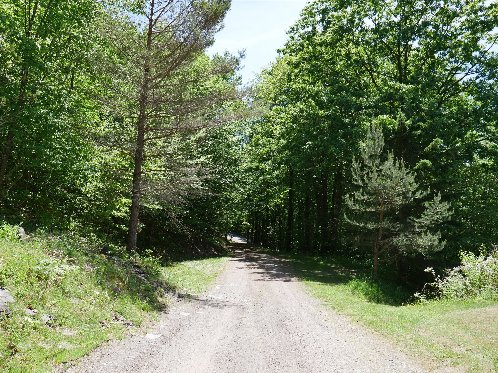 1338 Abe Boice Road Sidney Center, NY 13839 - Photo 14 of 38