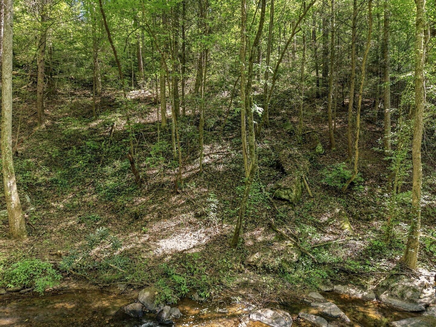 0 Dell Moore Road Marble Hill, GA 30148 - Photo 5 of 17 Gallery Image 5