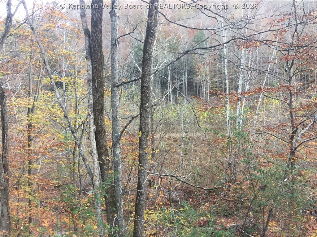 1 Guyan River Road Harts, WV 25524 - Photo 4 of 7 Gallery Image 4