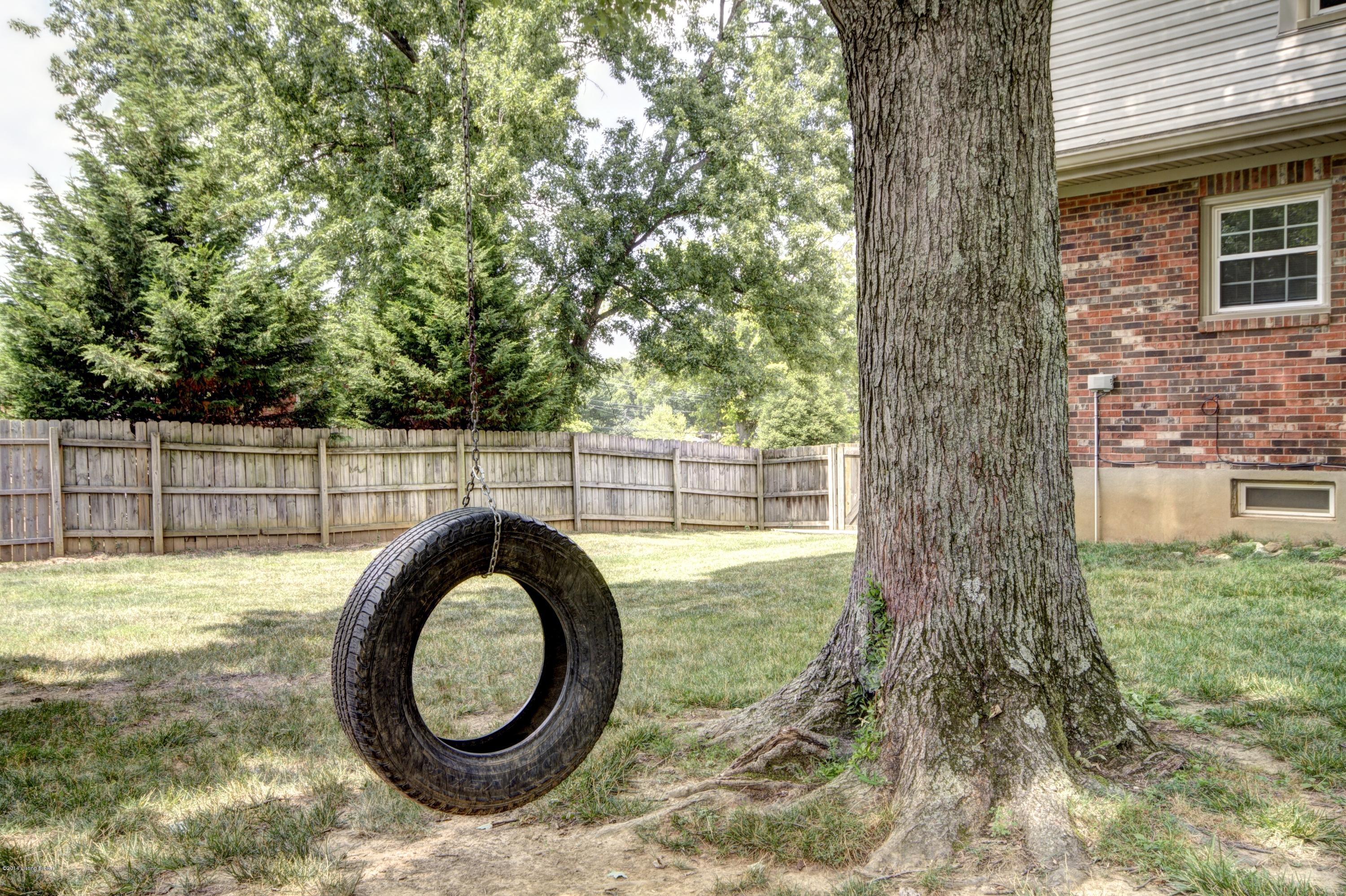8904 La Costa Road Louisville, KY 40299 - Photo 43 of 44 Tire Swing