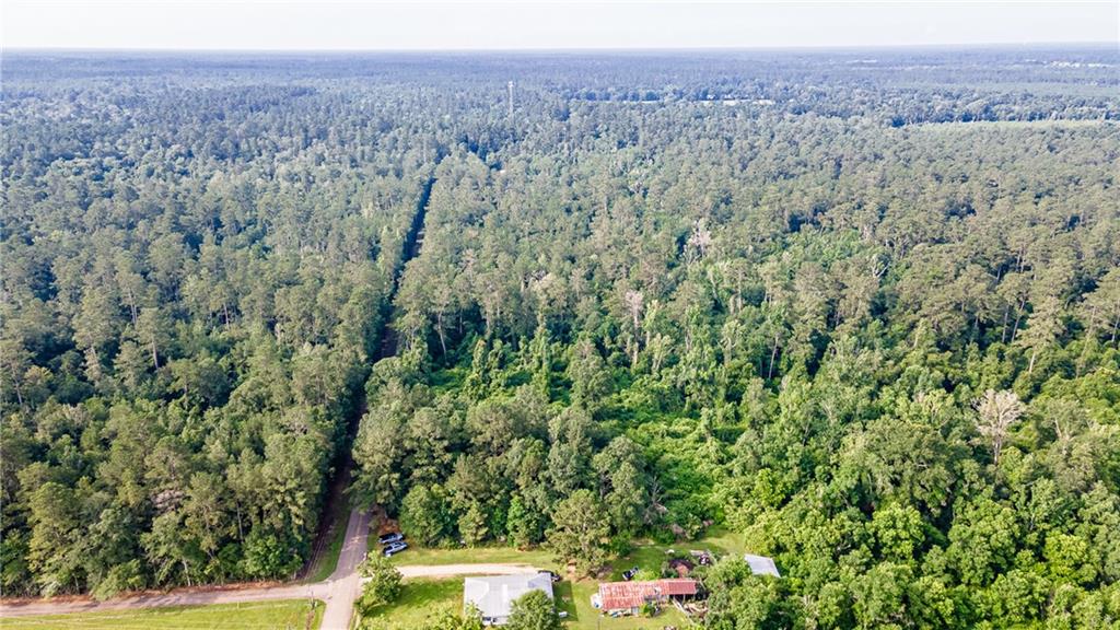 0 Lee Settlement Road Folsom, LA 70437 - Photo 2 of 7