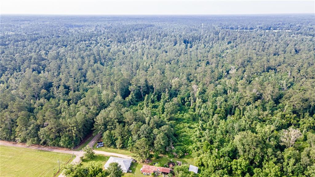 0 Lee Settlement Road Folsom, LA 70437 - Photo 4 of 7