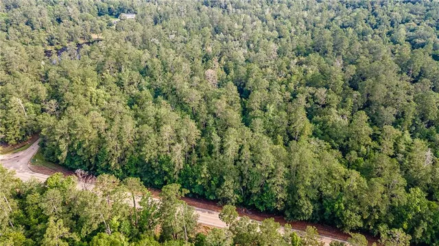 $170,000 | 0 Lee Settlement Road, Folsom, LA 70437