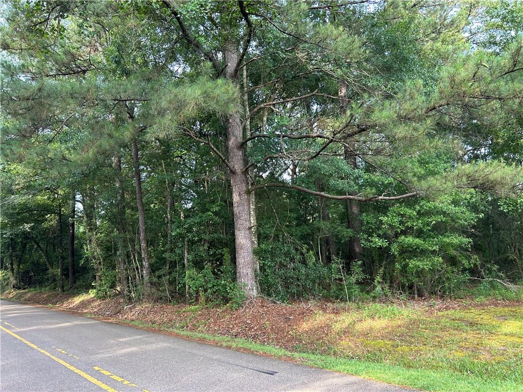 0 Lee Settlement Road Folsom, LA 70437 - Photo 6 of 7