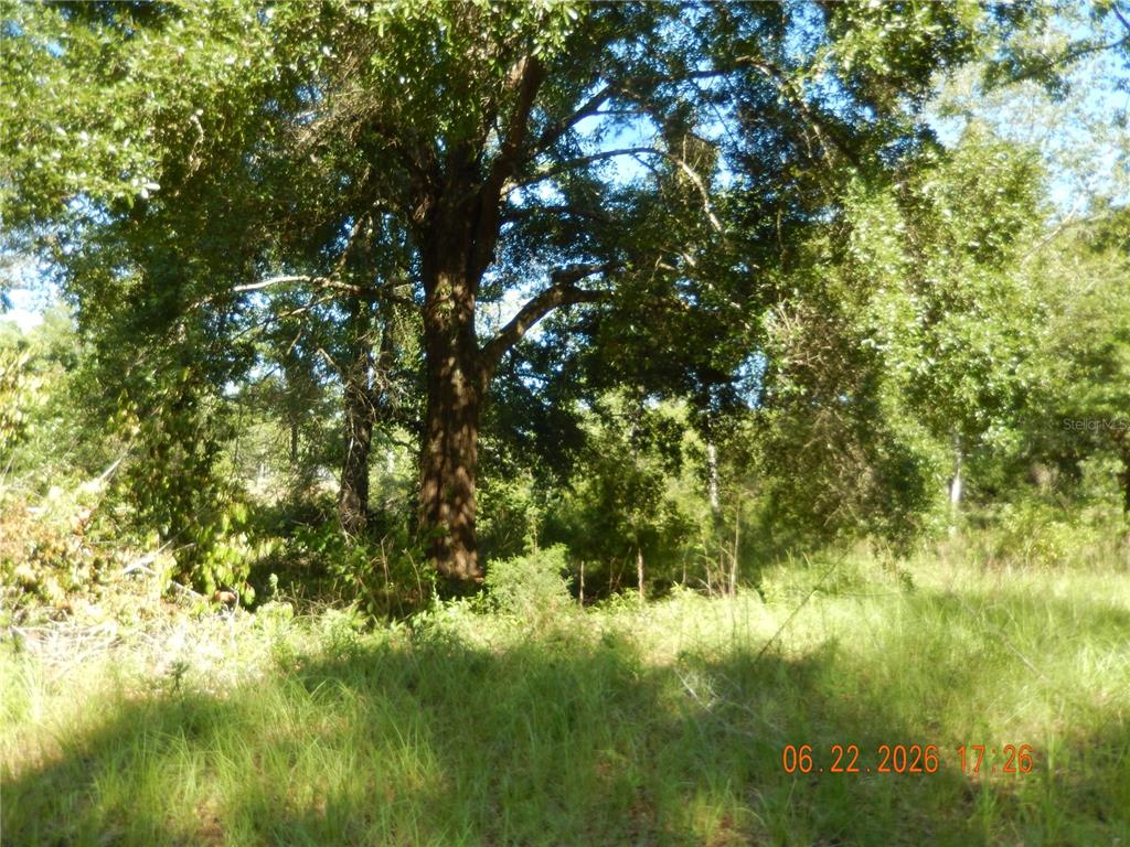 761 Southwest Sunview Street Fort White, FL 32038 - Photo 3 of 4