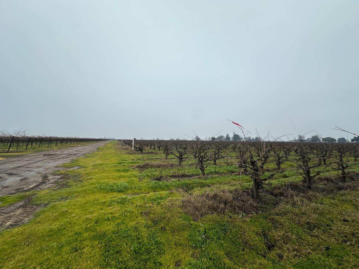 17600 Devries Road Lodi, CA 95242 - Photo 1 of 1 a view of a field with an ocean view