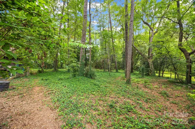 a view of a green field with lots of trees