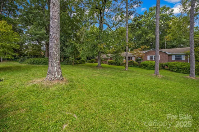 a street view with tall trees