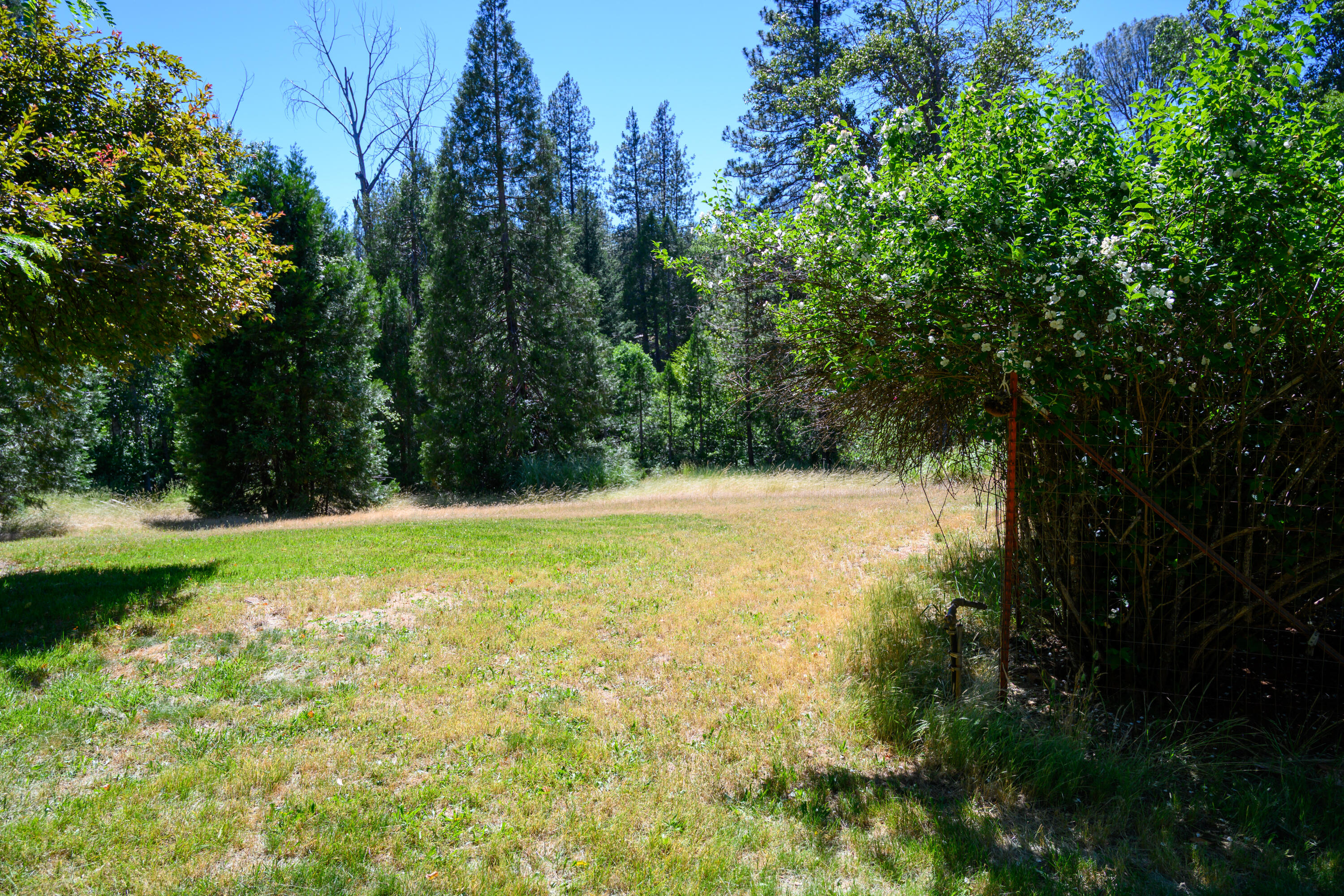 181 Meadow Road Weaverville, CA 96093 - Photo 33 of 38 rear lot