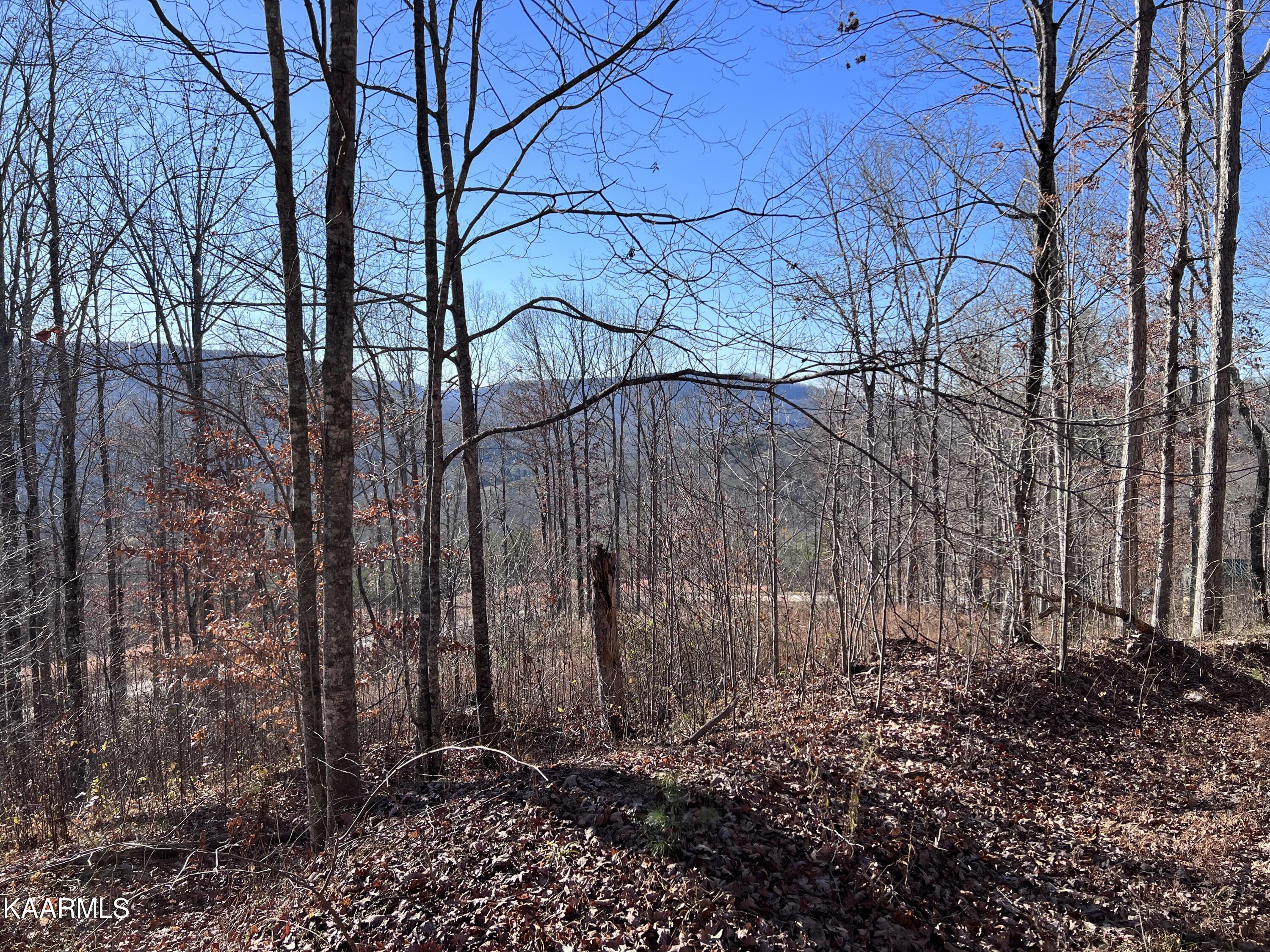 Tomahawk Road, Unit 38 Jamestown, TN 38556 - Photo 1 of 10 63F04AB9-3406-4F02-9193-8A3B56BAF6E0