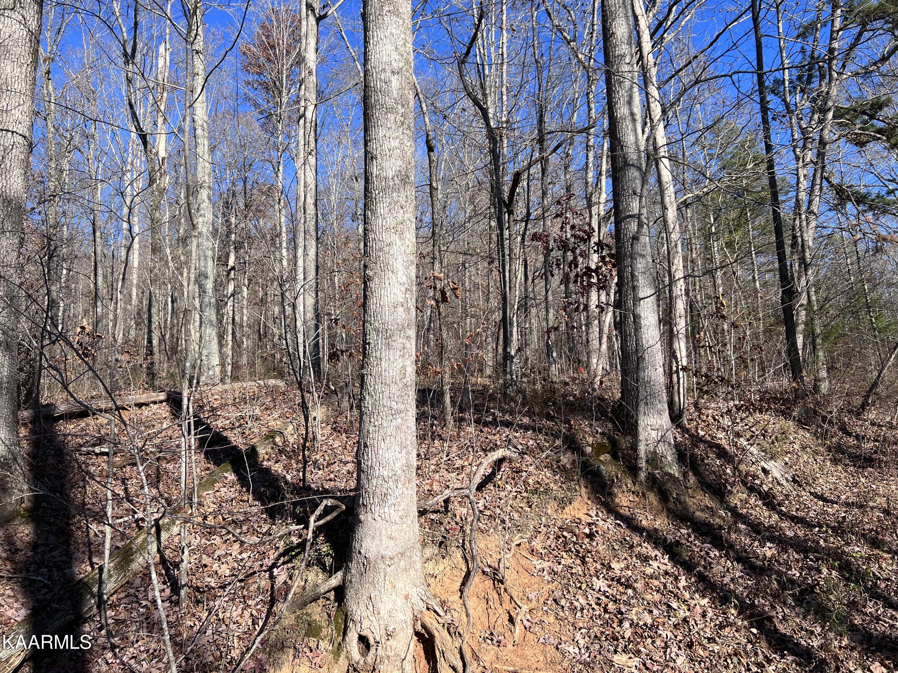 Tomahawk Road, Unit 38 Jamestown, TN 38556 - Photo 3 of 10 9DED69EA-7575-403A-820A-9E12865D1267