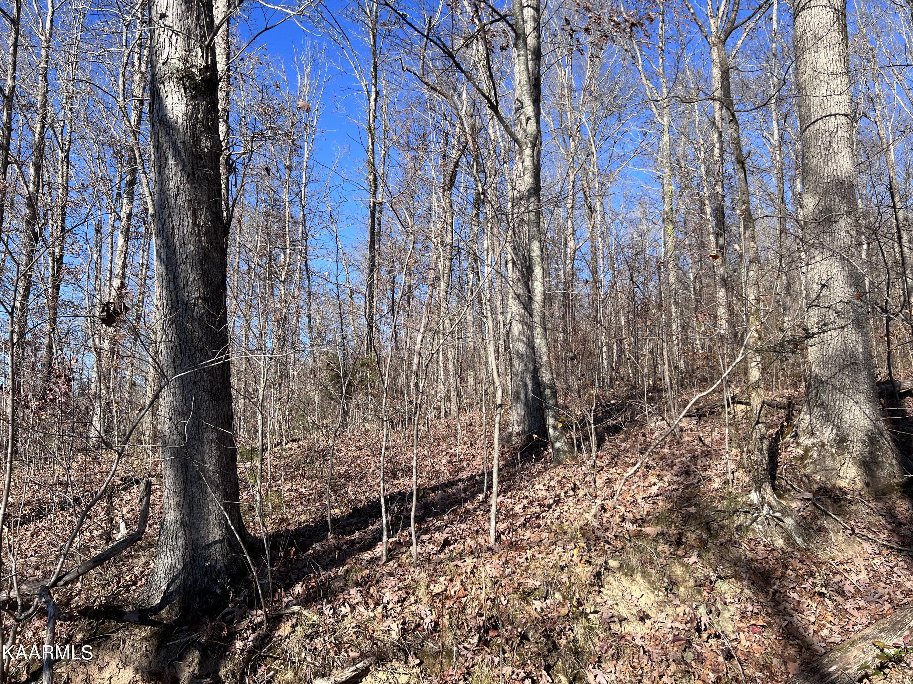 Tomahawk Road, Unit 38 Jamestown, TN 38556 - Photo 4 of 10 90628318-AAF6-4D75-93C9-E88BE9BCAEFD