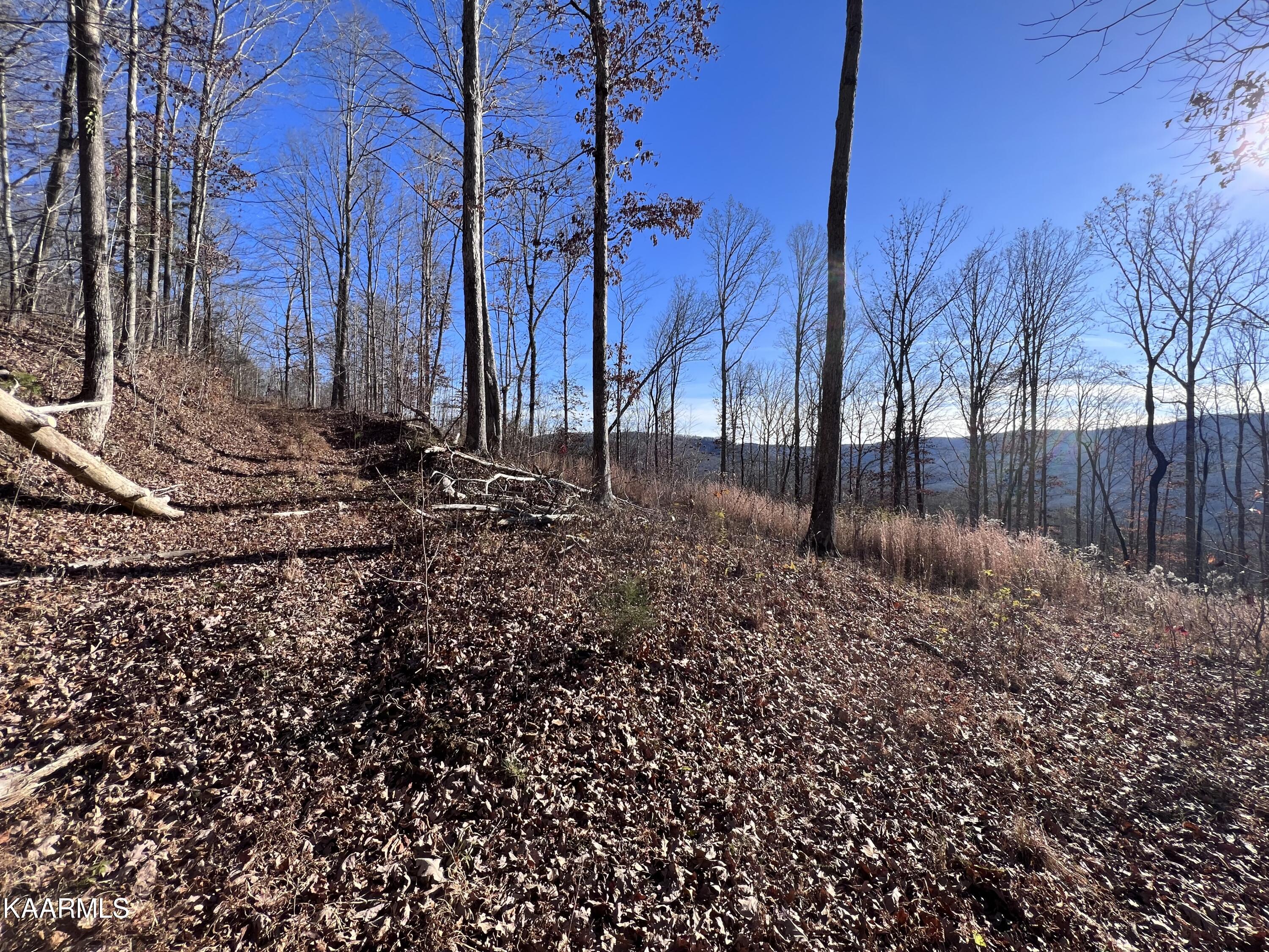 Tomahawk Road, Unit 38 Jamestown, TN 38556 - Photo 5 of 10 77AB527F-FD73-4D60-AEB2-A4AD317DC8F2