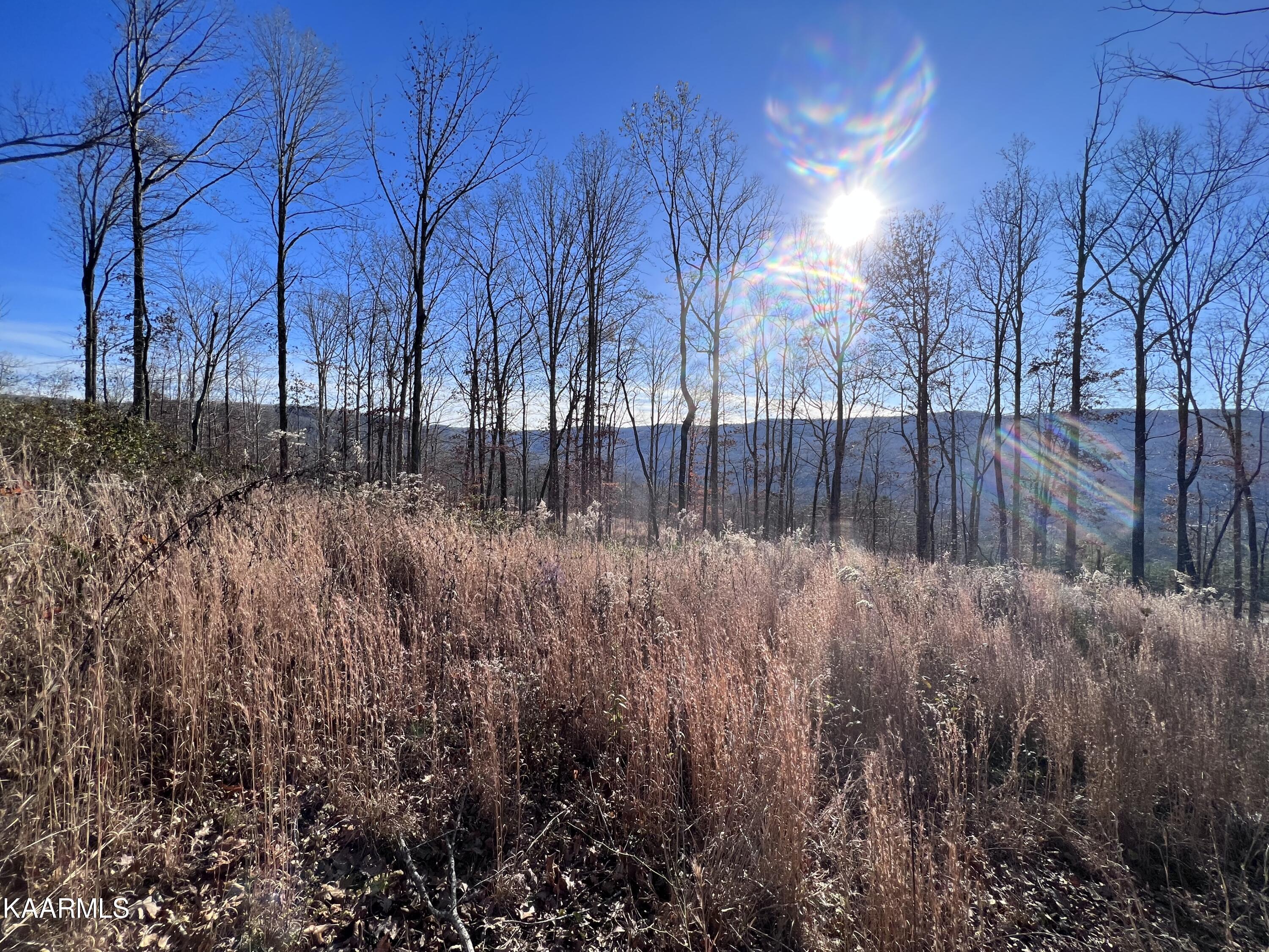 Tomahawk Road, Unit 38 Jamestown, TN 38556 - Photo 6 of 10 3CA27A08-18C8-449D-844B-6A439332C155