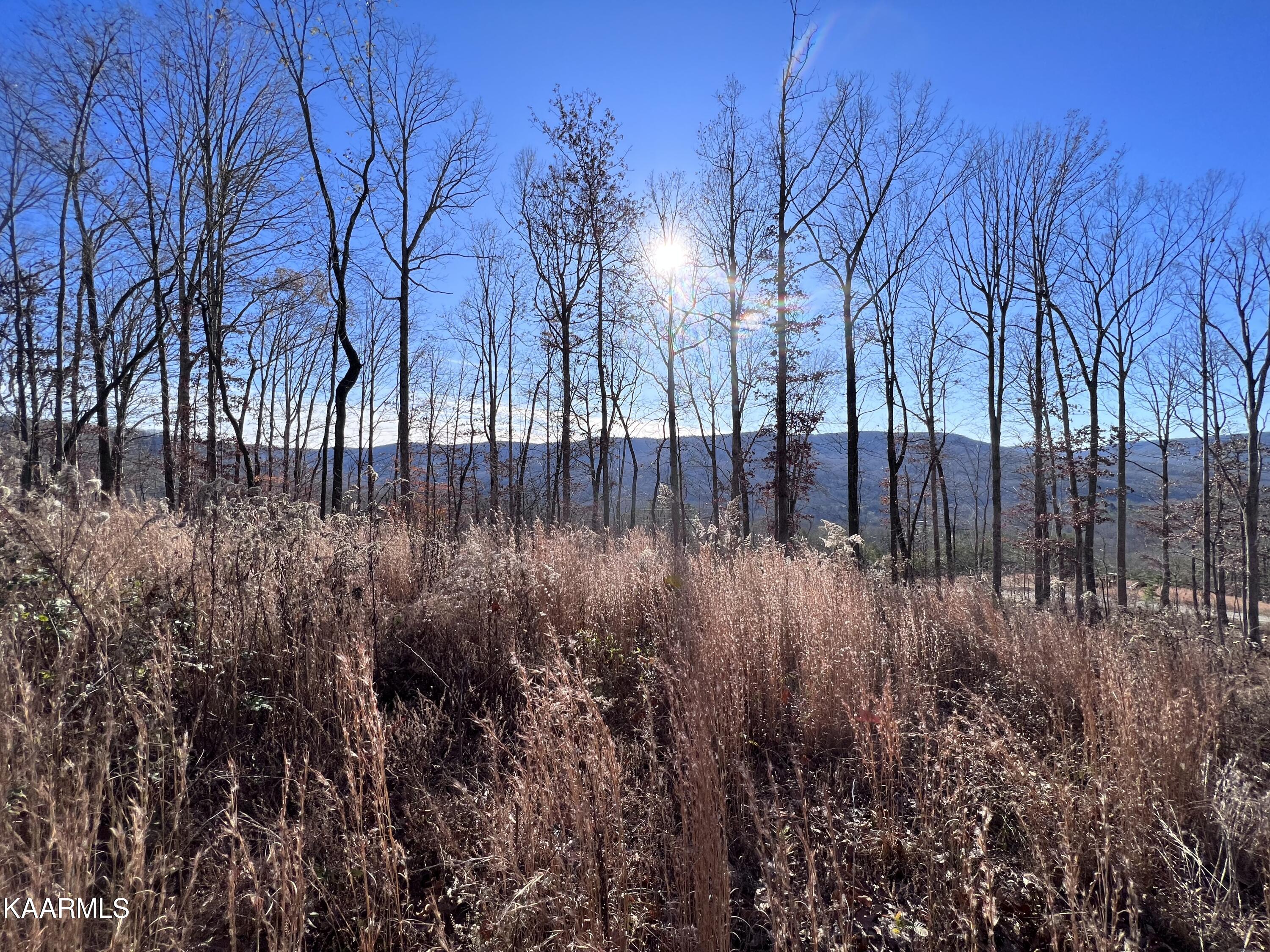 Tomahawk Road, Unit 38 Jamestown, TN 38556 - Photo 7 of 10 D137CFA4-D0F5-4BDB-945A-B55225B81126