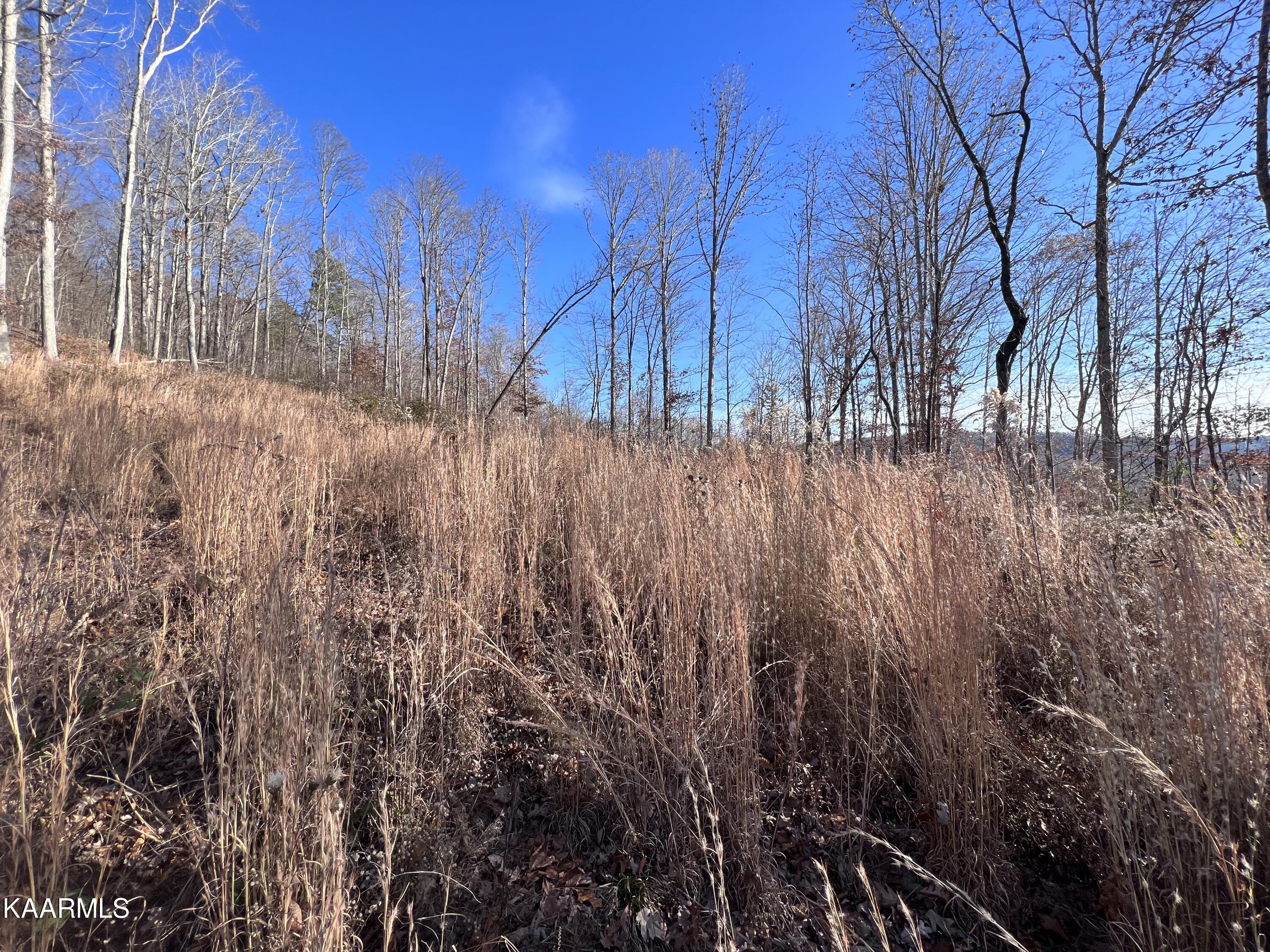 Tomahawk Road, Unit 38 Jamestown, TN 38556 - Photo 8 of 10 13B07277-EC9E-4962-BD38-2234884F635C