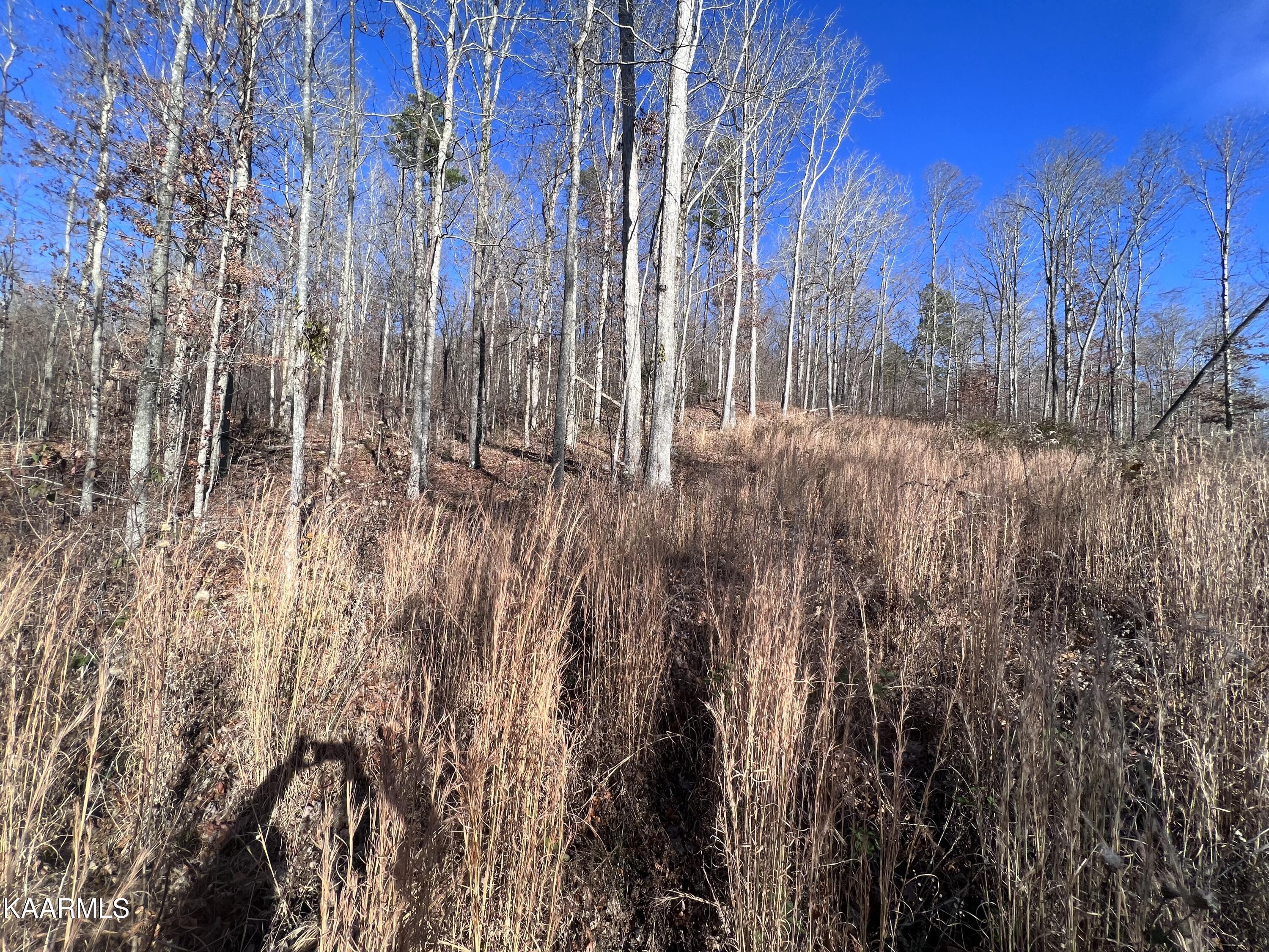 Tomahawk Road, Unit 38 Jamestown, TN 38556 - Photo 9 of 10 D6813612-C1C8-4CB1-B086-E5FFC7C8A167
