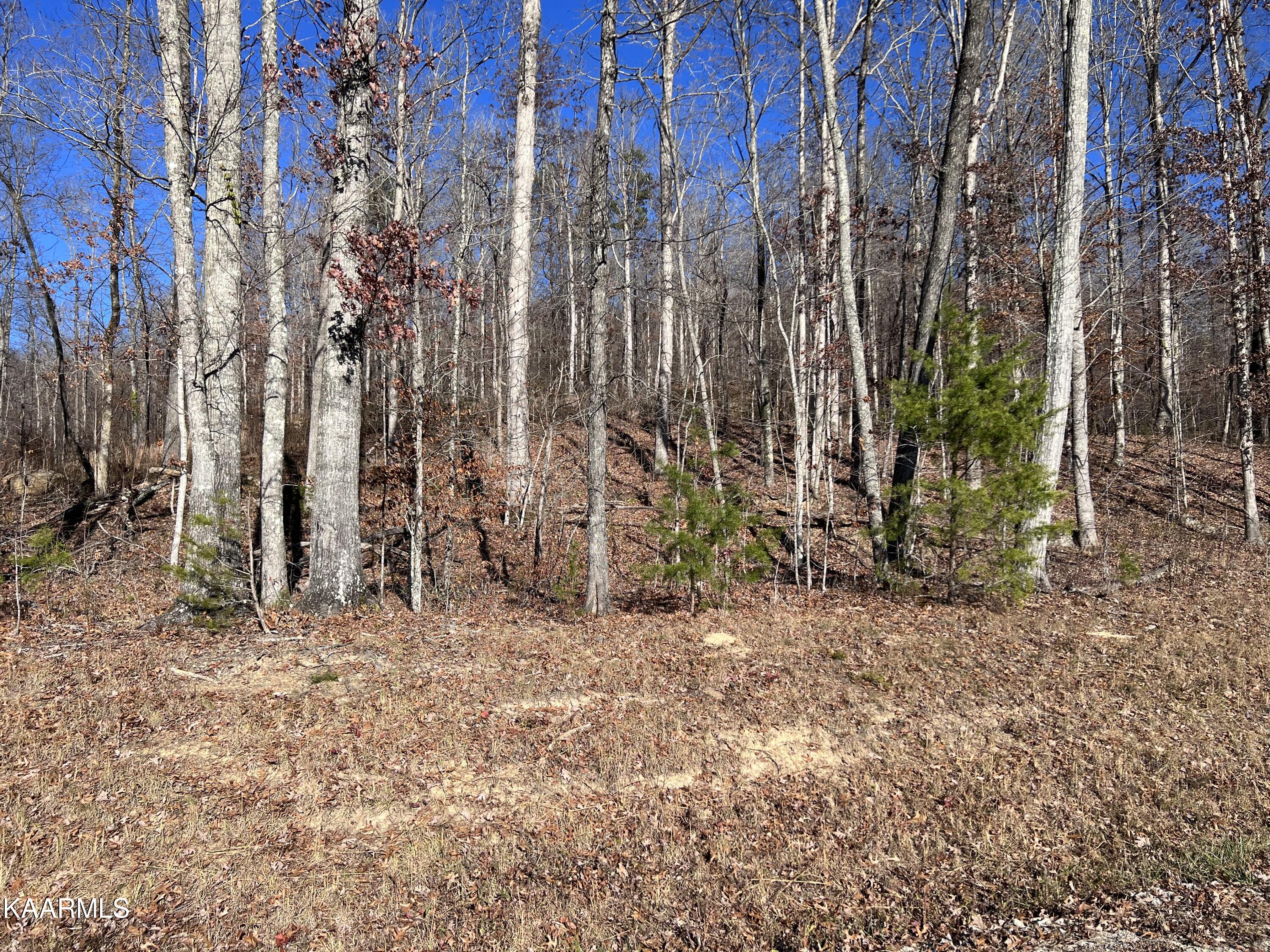 Tomahawk Road, Unit 38 Jamestown, TN 38556 - Photo 10 of 10 3E51F5D2-08C0-4984-87AB-6E4CC14A7137