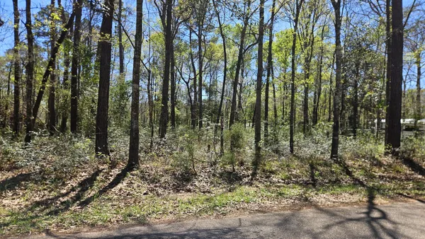 $59,000 | 15566 Firewood Drive, Conroe, TX 77303