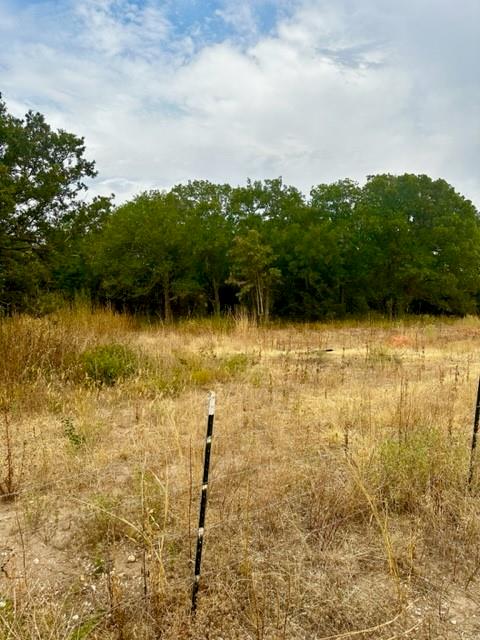 3 Tract 3 Private Road Bridgeport, TX 76426 - Photo 1 of 1 View of local wilderness