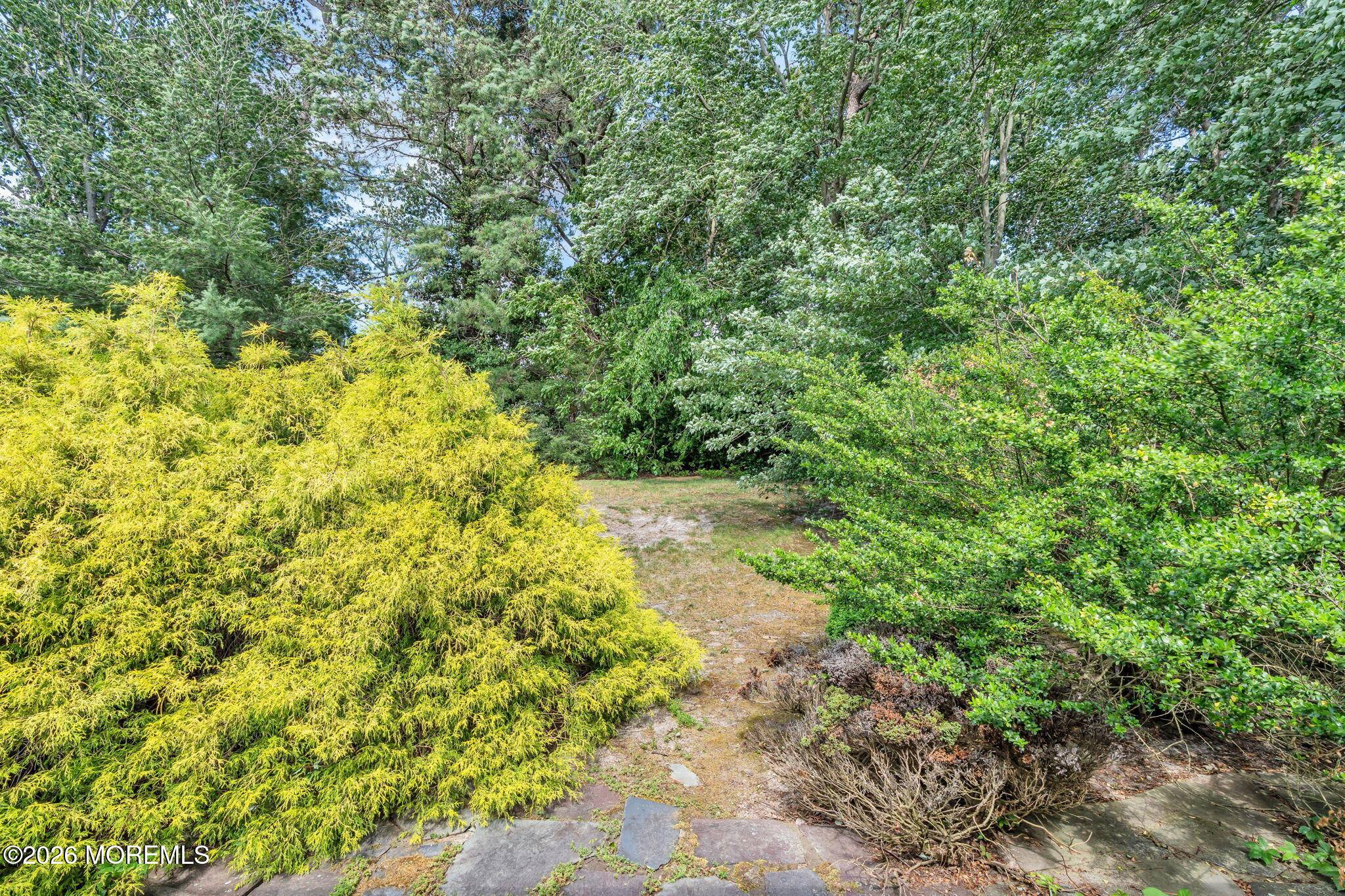 30 Phillips Road Brick, NJ 08724 - Photo 24 of 25 45-backyard-shrubs-lawn-view